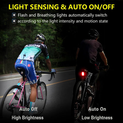 Smart Bike Tail Light with Alarm Horn