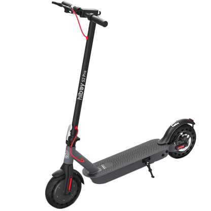 500W Electric Scooter with 10 Inch Tires