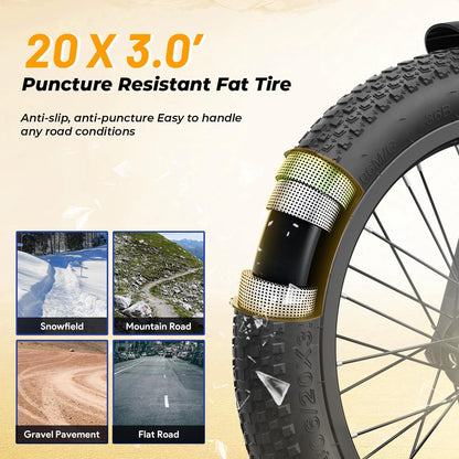20 Inch Fat Tire Folding Electric Bike