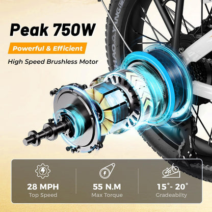 20 Inch Fat Tire Folding Electric Bike
